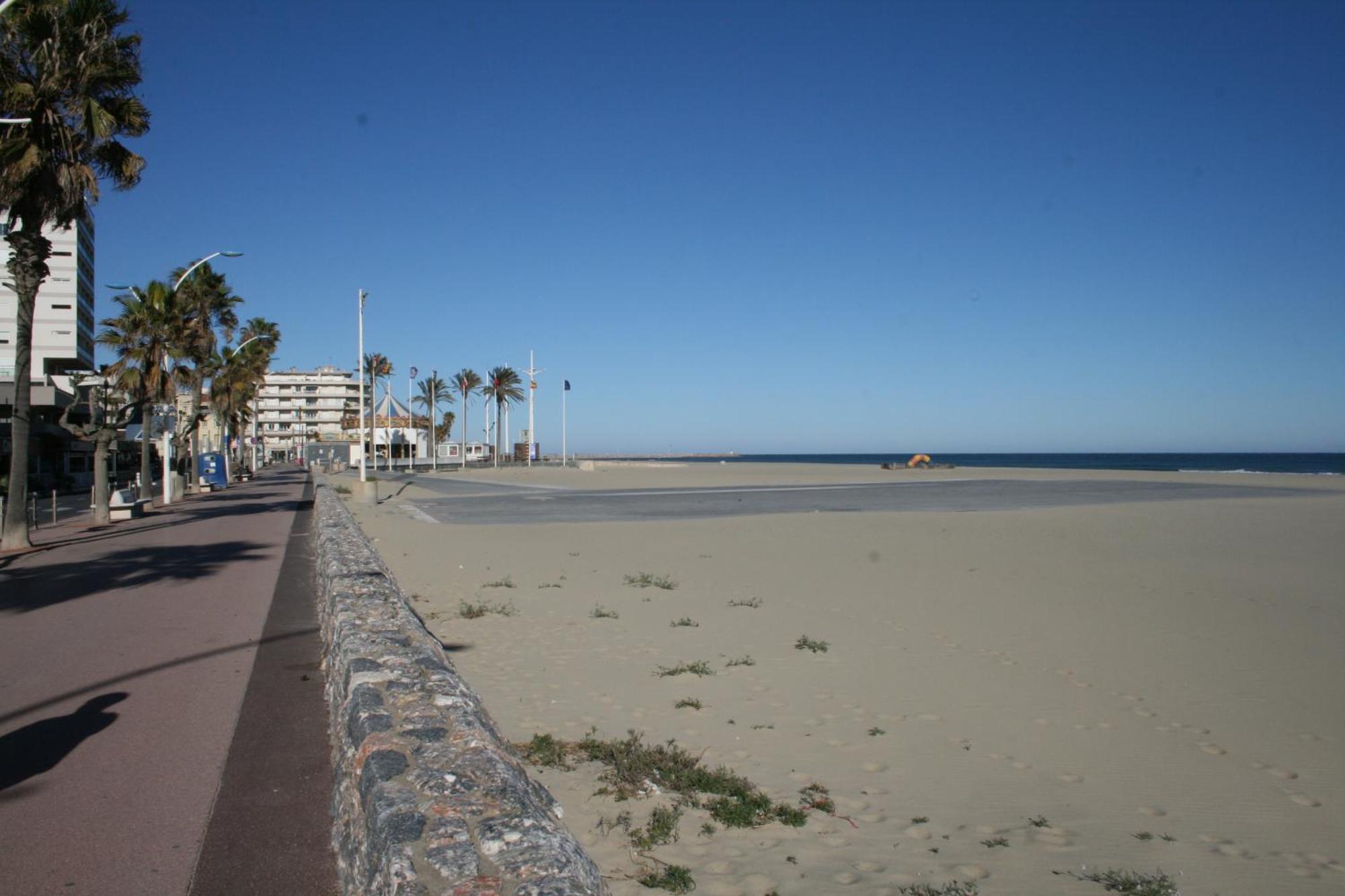 Charmant Studio 20 M De La Plage Canet-en-Roussillon Eksteriør billede